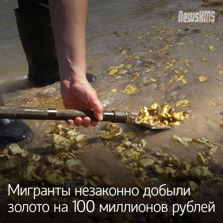 27 приезжих пригласили как высококвалифицированных работников в Амурскую область Но у них не было необходимых документов Поэтому полиция задержала всех рабочих забрав несколько слитков и 17 килограммов золота россыпью 19 мигрантов уже депортировали семеро также покинут Россию а вот одного решили арестовать