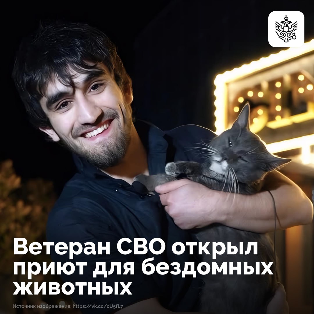 Хаскил Амирханов служил фельдшером в зоне СВО После ранения он вернулся в Махачкалу и решил дальше спасать жизни Ветеран открыл приют для бездомных животных Сначала мужчина забирал четвероногих домой потом снял отдельное помещение Сегодня боец кормит лечит и оберегает собак и кошек с диагнозами травмами и полным недоверием к людям Приют растет как и мечта Хаскила вывести помощь братьям нашим меньшим на федеральный уровень Чувашия