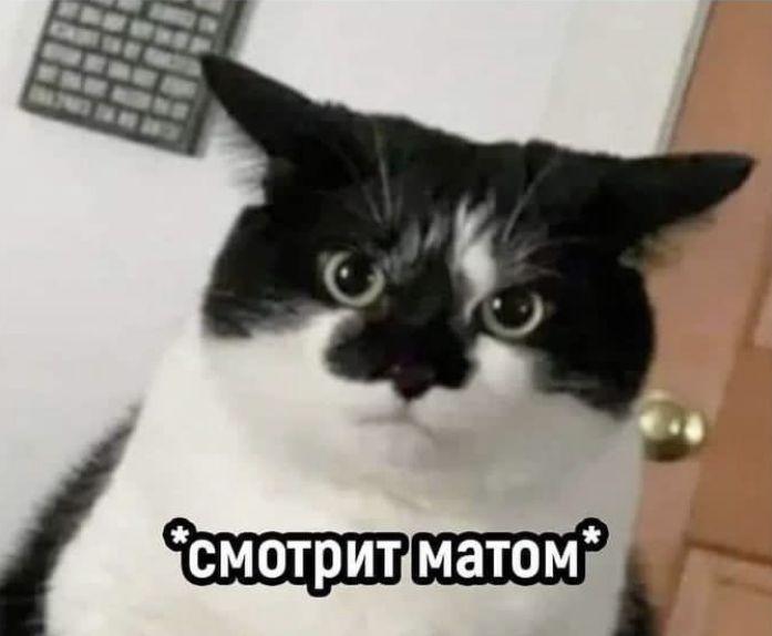 Запретить матерящимся занимать высокие должности предложили в РПЦ Авторы инициативы считают что такие люди не должны решать важные вопросы потому что они не уважают русский язык а их поведение неприемлемо для общества