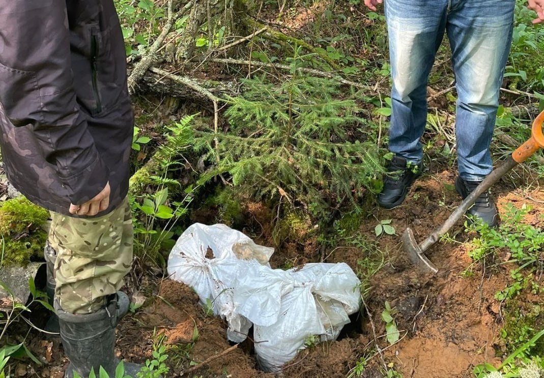Гигантскую 60-килограммовую закладку нашли в лесу под Питером Тайник с веществами обнаружили грибники, бродившие по лесу в Лужском районе. Они сразу же обратились в полицию. Владельцев тайника разыскивают правоохранители.