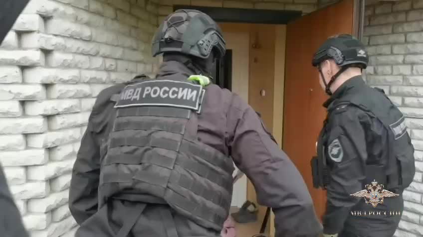 В Ленинградской области пресечены массовые поставки сим-карт для телефонного мошенничества