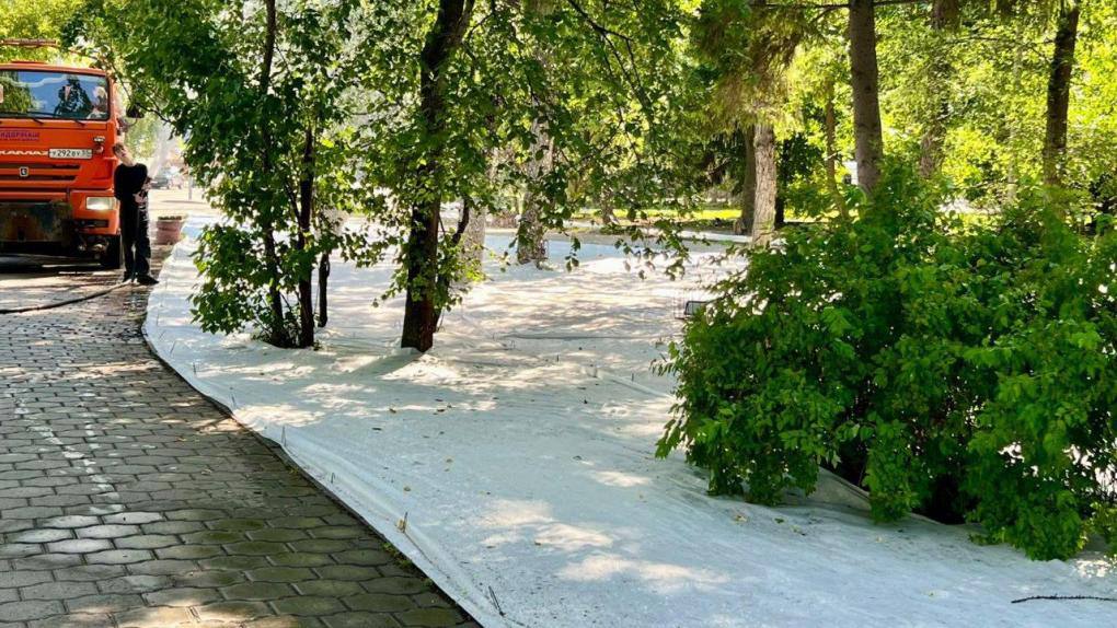 В Омске стартовала подготовка к «Флоре-2025» Будущие цветочные композиции посвятят Году защитника Отечества, 80-летию Победы и званию Омска — Молодёжной столице России. Основные инсталляции появятся в Выставочном сквере и на набережной Тухачевского. Как сообщил мэр Сергей Шелест, сейчас территории очищают от мусора и сухих веток, готовят почву и засевают газоны. Фото: телеграм-канал мэра Сергея Шелеста