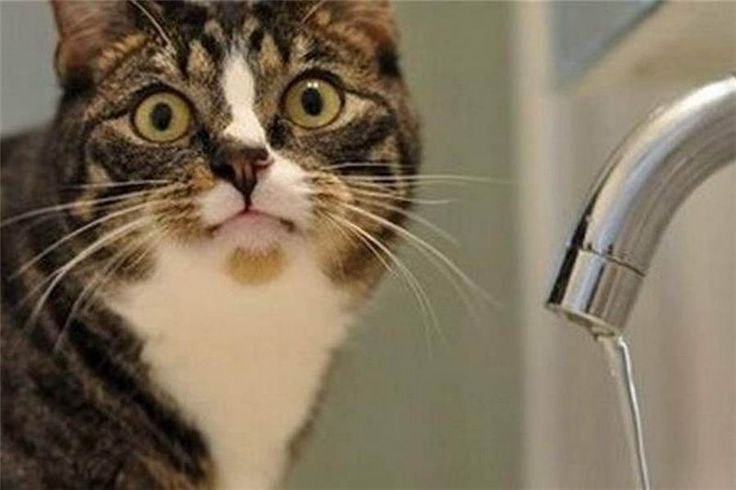 В Первомайском районе Ростова на Дону до вечера отключили холодную воду из за порыва на водопроводных сетях Авария произошла по переулку 3 й Сахалинский сообщили в департаменте ЖКХ и энергетики Ростова на Дону Воды нет в границах ул Белорусская пер 5 й Сахалинский ул Евдокимова пер Мезенский пер Самарский Восстановить подачу воды обещают сегодня к вечеру до 18 часов domostroyrf