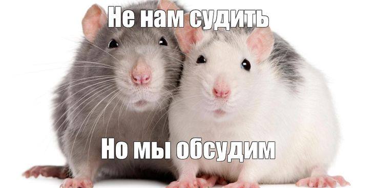 Сплетни положительно влияют на психическое здоровье, — учёные  Во время таких разговоров у человека активируются зоны мозга, отвечающие за удовольствие, и выбрасывается дофамин. Это снижает уровень стресса и даёт эмоциональную разрядку.  Но перегибать не стоит — избыток сплетен, наоборот, может ухудшить настроение и загнать в депрессию.   В общем, вы знаете, что делать.  Наш Канал    Чат    Бот