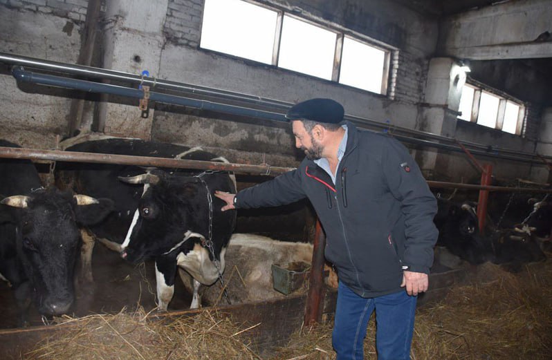 Семейные фермы в Кузбассе получили в 2025 году 77 5 млн рублей господдержки Гранты на модернизацию производства и субсидии на возмещение затрат   avant partner ru news 18414 html