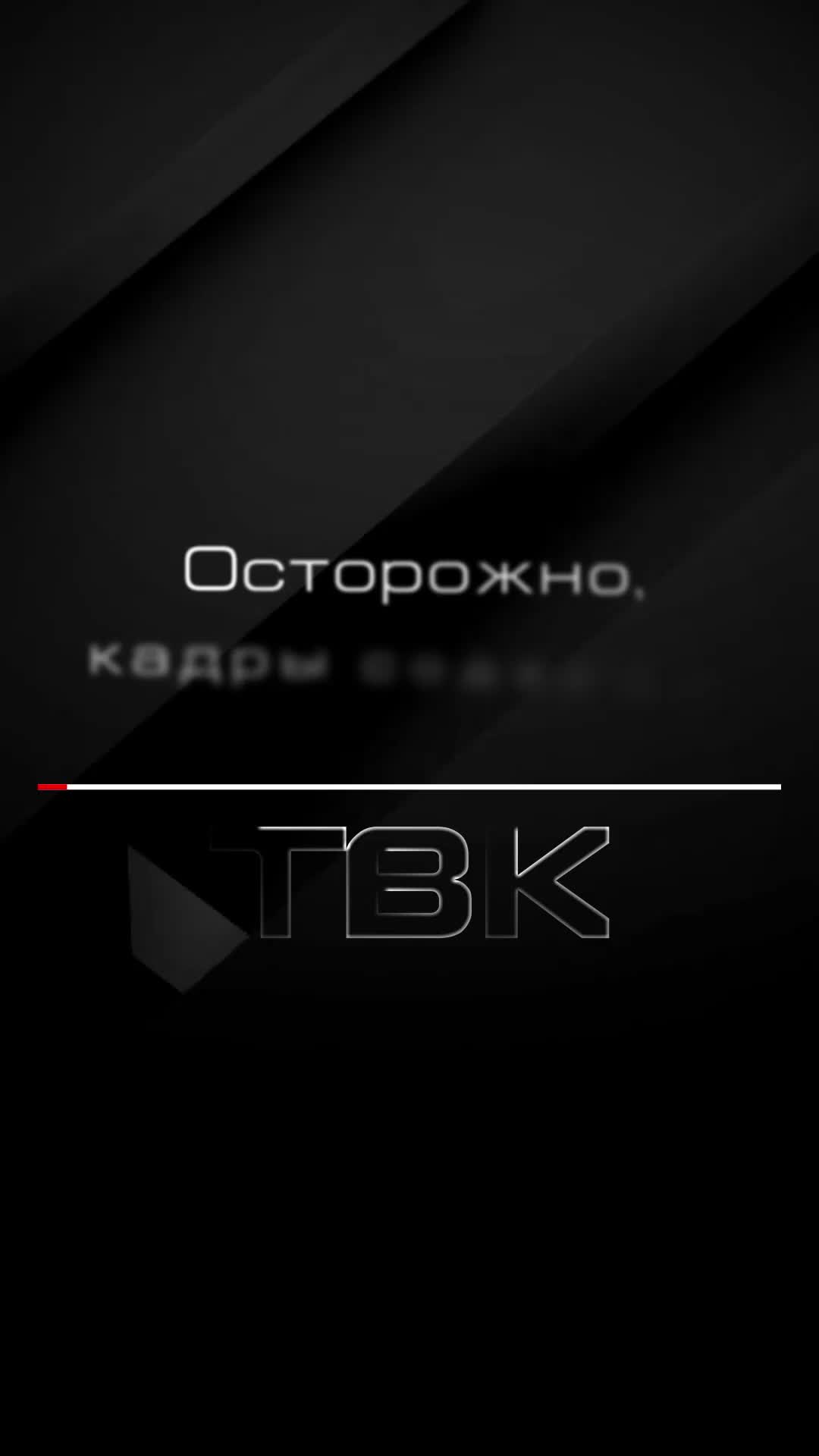 В Краснодаре выбросили собаку из автомобиля, вызвав общественное возмущение