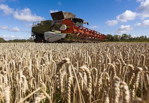 ↖ Объем экспорта сельскохозяйственной продукции Новосибирской области в 2024 году составил 2,13 млн т. Это выше показателя предыдущего года на 9,8%.  В общем объеме экспорта АПК доля злаков составляет 34,8%, на продукцию пищевой и перерабатывающей промышленности приходится 16,3%, на масложировую продукцию — 9,1%.  В 2024 году продукция новосибирского АПК экспортировалась в 55 государств. В первую тройку внешнеторговых партнеров вошли Китай  $372,3 млн , Казахстан  $94,7 млн  и Турция  $40,1 млн .  Фото: Александр Подгорчук, Коммерсантъ   Подписывайтесь на «Ъ-Сибирь»