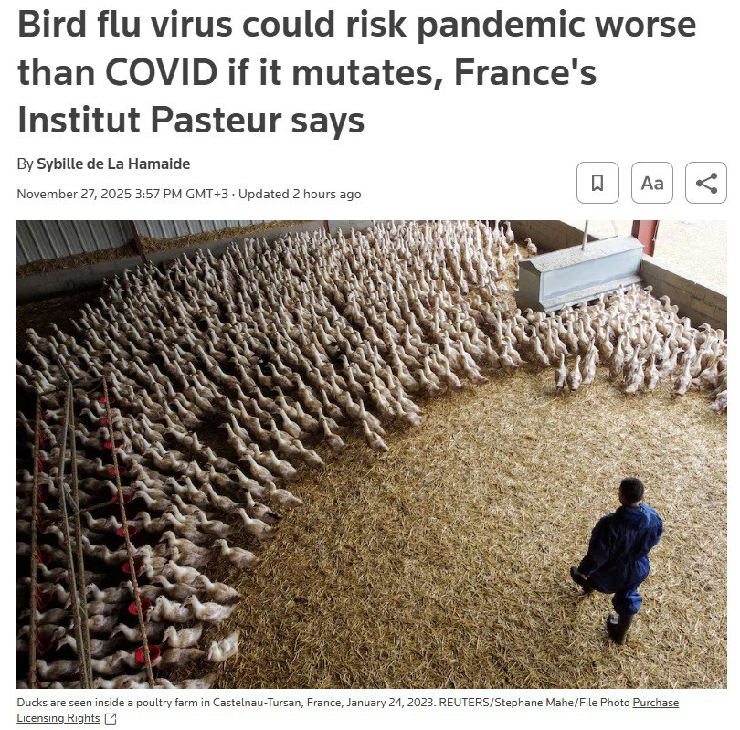 Вирус птичьего гриппа который распространяется среди диких и домашних птиц может привести к пандемии Причем она будет хуже чем COVID 19 если вирус мутирует и начнёт передаваться от человека к человеку заявила Мари Анн Рамекс Велти глава французского центра по изучению респираторных инфекций Института Пастера По её словам у людей есть антитела к сезонному гриппу H1 и H3 но нет антител к птичьему гриппу H5 поражающему птиц и млекопитающих как не было антител к COVID 19 В отличие от COVID 19 который поражает в основном уязвимые группы населения вирусы гриппа могут убивать и здоровых людей в том числе детей Пандемия птичьего гриппа вероятно будет довольно серьёзной возможно даже более серьёзной чем пандемия которую мы пережили заявила Рамекс Велти Наш канал в MAX