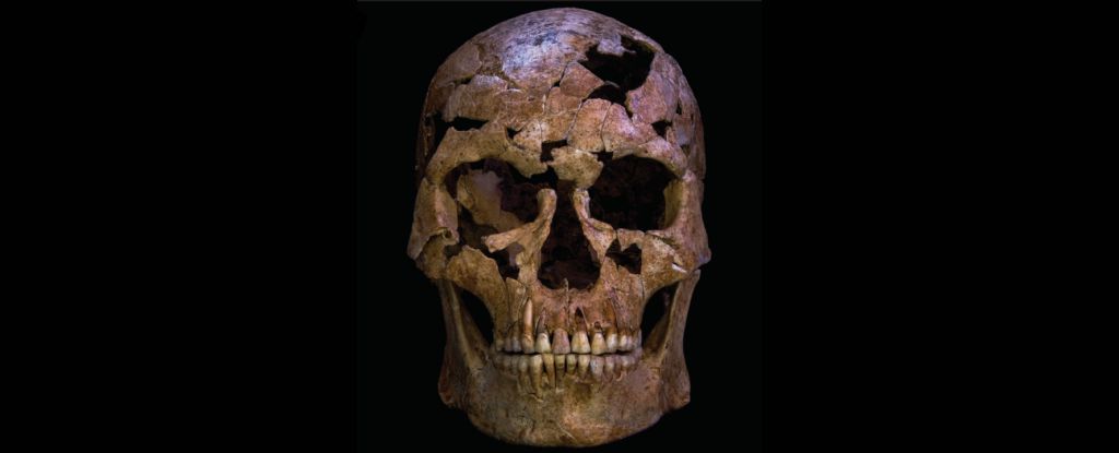Убийство возрастом 12 000 лет во Вьетнаме нашли древнейшую жертву насилия Археологи раскопали в пещере Тхунг Бинь останки мужчины который вероятно стал жертвой убийства 12 000 лет назад Это один из самых ранних известных случаев межличностного насилия в Юго Восточной Азии Что нашли  Скелет мужчины 35 лет в целом здорового  Травмированное шейное ребро плюс следы инфекции  В земле рядом кварцевый наконечник метательного оружия Камень был явно не из местных его принесли извне Ученые считают что наконечник попал в шею вызвал перелом и заражение от которого мужчина умер через несколько дней или недель Находка уникальна в одном месте и травма и орудие ее причинившее mbn360