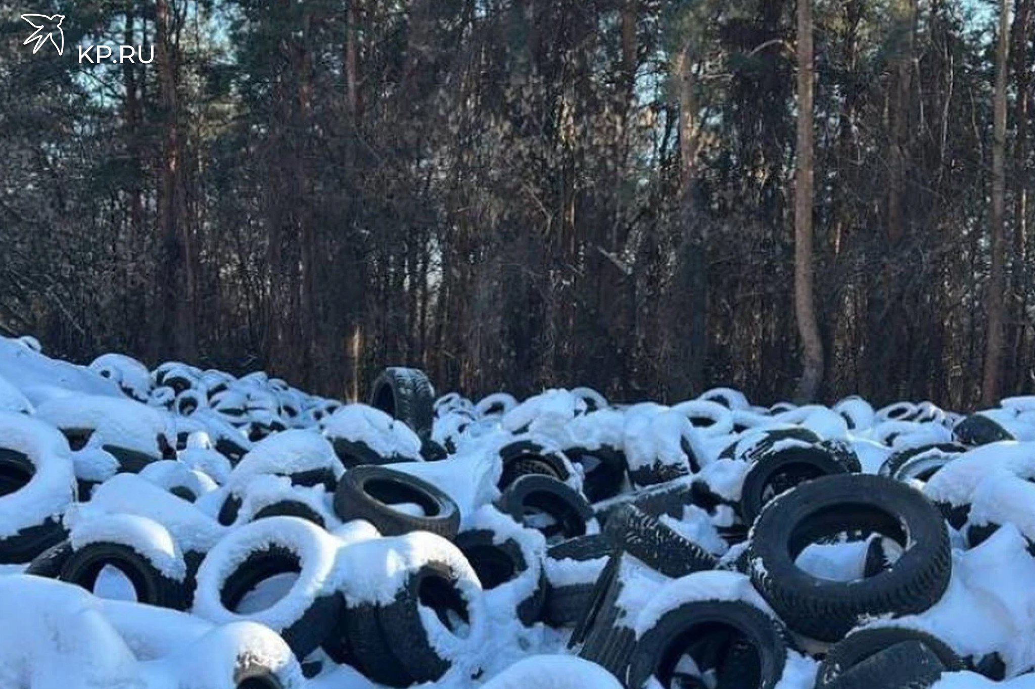 В Воронеже оштрафовали первого нарушителя за незаконный выброс шин на свалку на 45-й Стрелковой Дивизии  Сотрудники управы Коминтерновского района сообщили, что выписали первый штраф за выброс шин на огромную свалку на улице 45-й Стрелковой Дивизии, 259а. Разоблачить нарушителя помогли неравнодушные воронежцы. Они сняли на видео его незаконные действия.  На гражданина, совершившего правонарушение, составили административный, ему разъяснили правила утилизации использованных шин. Сумма штрафа – 42 тысячи рублей.  Управа района продолжает работу по устранению последствий свалки и планирует установить видеокамеры на этом участке для предотвращения повторных нарушений.  Напомним, на свалку на улице 45-й Стрелковой Дивизии в районе хлебозавода № 7 обратили внимание специалисты регионального министерства природных ресурсов и экологии. Они направили письмо с требованием ее убрать. По данным экологов, ущерб, нанесенный свалкой почве, находящейся под ней, превысил 9 миллионов рублей.