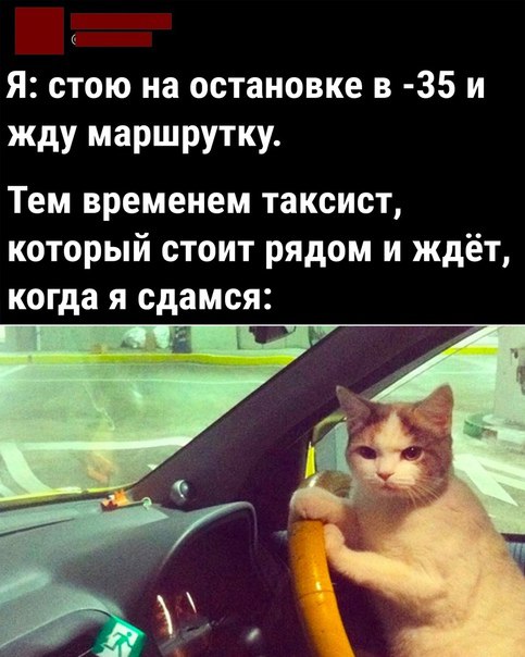 Ох уж эта транспортная реформа в Оренбурге! Больше года прошло с ее начала, а обещанные радужные перспективы так и не сбылись — поток жалоб не заканчивается. Врио главы области Евгений Солнцев выявил четыре кита проблем в этой сфере. В общем-то, банальные вещи: – водители ездят по графику, который известен лишь им; – людям приходится часами стоять в ожидании автобусов; – автобусов не хватает; – остановок или нет, или они в плохом состоянии. Мол, давайте разбираться, решать вопрос. Негоже, чтобы оренбуржцы часами ждали транспорт и потом уезжали на такси. Может дело в том, что часть автобусов в дачный период уходит на садоводческие маршруты? Так нет, и. о. главы Оренбурга Вячеслав Объедков сообщил, что всего 37 единиц выходит на садоводческие маршруты. Причину проблем в мэрии видят одну. Приготовьтесь: водителей нет, вот и транспорт плохо ходит. Стабильный ответ, его озвучивал еще Сергей Салмин. Передал ли он эту формулировку Вячеславу Объедкову перед уходом на СВО — история умалчивает. Как бы там ни было, но Евгения Солнцева доводы не впечатлили. Он поручил как можно скорее устранить проблему. Что ж, если после нагоняя главы региона в облцентре начали косить траву, может волшебство коснется и транспорта? Держим кулачки на удачу!