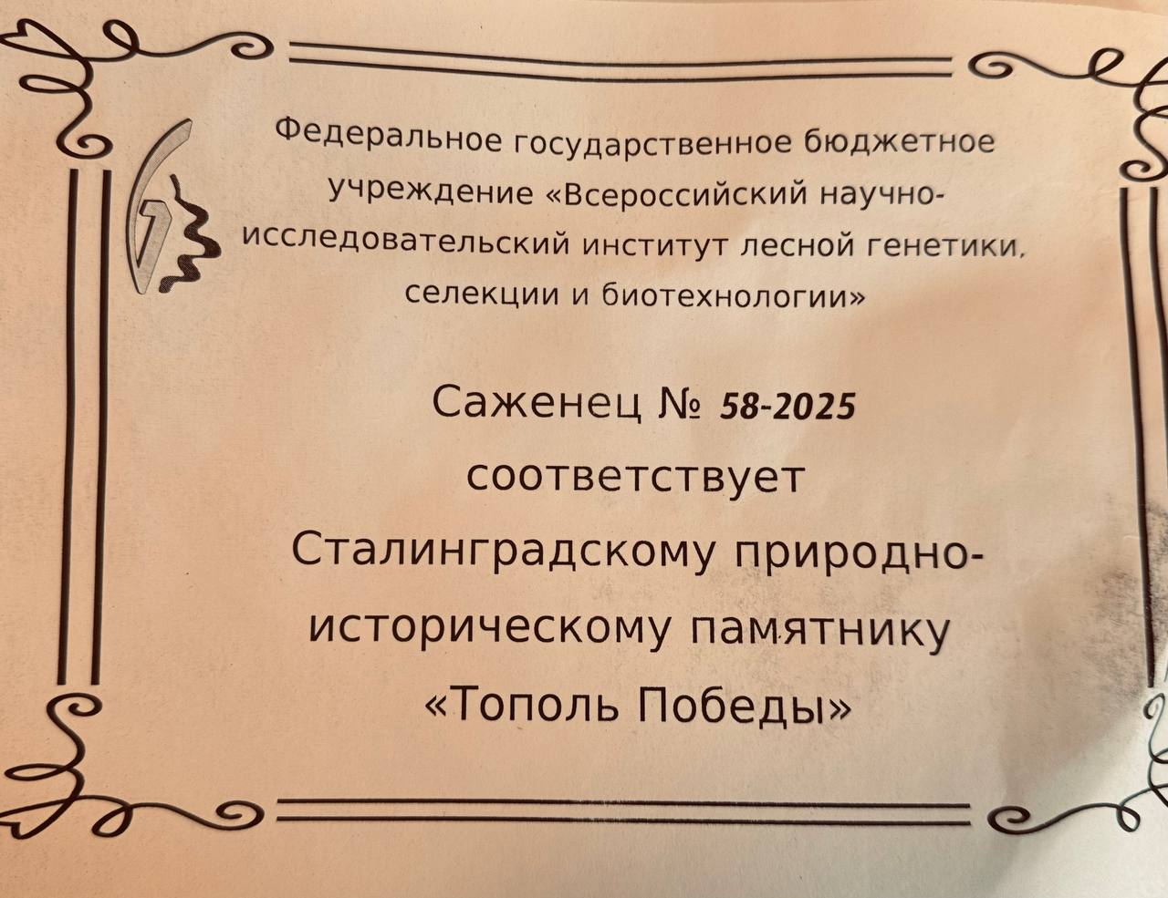 В Улан-Удэ посадили легендарный «Тополь Победы» В центре Волгограда на Площади Павших Борцов растет большой развесистый тополь-долгожитель, живой свидетель героической истории города, её величия и драматизма. Посаженный ещё до войны тополь, удивительным образом пережил Сталинградскую битву, став символом непобедимости нашего народа. А после освобождения города, весной 1943 года, несмотря на увечья от пуль, дерево зацвело, доказывая, что раны превращаются в память и жизнь продолжается. Теперь живой символ Великой Победы будет расти и на территории Бурятии. Саженец вырастили из почки знаменитого волгоградского тополя. #Бурятия Подробнее в Номер один Сообщить нам свою новость можно по кнопке: Письмо в редакцию