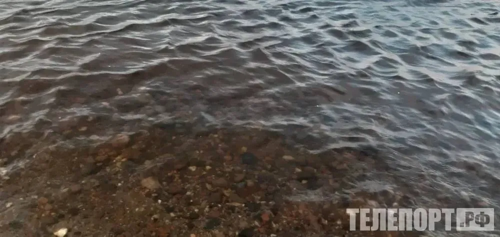 Тело мужчины обнаружили в водоеме в Приамурье Страшную находку рыбаки увидели в районе села Прядчино На рассвете любители рыбной ловли нашли мужчину без признаков жизни в районе Прядчино Благовещенского округа Тело было у кромки воды Как сообщает Амурский центр ГЗ и ПБ на берегу остались автомобиль и рыболовные снасти Предположительно мужчине стало плохо во время рыбалки Специалисты поисково спасательного отряда извлекли тело из воды Его передали полиции Сейчас правоохранители выясняют обстоятельства трагедии и личность покойного Следите за новостями Благовещенского округа в MAX