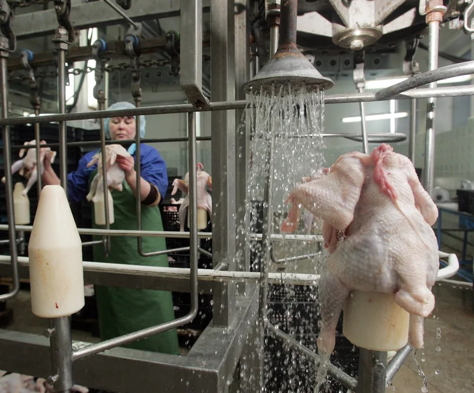 Ростовская птицефабрика оштрафована на 750 тысяч за сальмонеллу в продукции Арбитражный суд Ростовской области взыскал с ООО Ростовский бройлер штраф в размере 750 тыс руб за выпуск опасной продукции и несоблюдение санитарных требований Окорочка птицефабрики в Семикаракорске могли стать причиной сальмонеллеза Информация опубликована в судебной картотеке Согласно размещенным материалам основанием для иска Россельхознадзора послужили итоги проверки предприятия в ходе которой специалисты выявили множественные нарушения В производственном цеху были зафиксированы ржавые металлоконструкции частицы которых могли попасть в продукцию а также условия создававшие угрозу загрязнения продуктов патогенной микрофлорой говорится в сообщении Наибольшую опасность по мнению экспертов представляла партия окорочков с хребтом Благояр от 27 февраля 2025 года Лабораторное исследование подтвердило присутствие в ней сальмонеллы Подписаться на Новости Ростова Прислать новость   Мы в Max rostovnews61