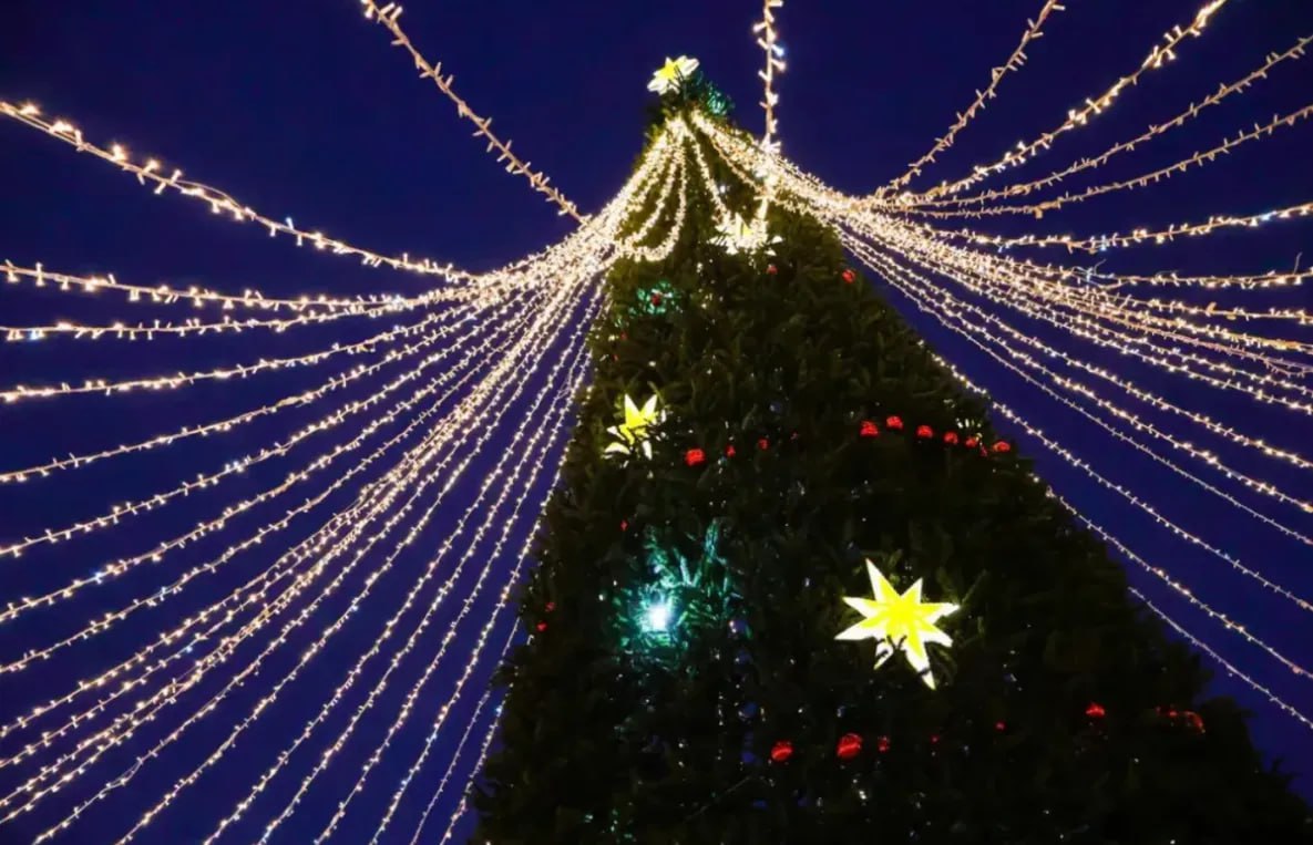 Хабаровчан пригласили украсить игрушками городские ёлки Украсить городские елки новогодними игрушками позвали хабаровчан настала та пора когда возвращаются традиционные предпраздничные конкурсы Нарядить елку вместе пригласили в Дирекции спортивных сооружений С сегодняшнего дня и до 7 декабря от участников конкурса елочных игрушек ждут самодельные работы из прочных материалов Это должна быть не маленькая но и не внушительная подделка в пределах 30 40 см будет достаточно по весу также есть ограничение от 0 5 до 2 кг Принести готовую работу нужно по адресу ул Советская 2а Авторы лучших игрушек получат памятные подарки а дипломами будут отмечены все участники Новогоднюю игрушку можно сделать и для украшения елки Индустриального района Хабаровска К участию в конкурсе здесь принимают новогодние шары и игрушки в тематике символа наступающего года Красная огненная лошадь Яркие и красочные работы не должны быть меньше 50 см а ее крепление нужно сделать прочным Специалисты комитета будут принимать подписанные игрушки до 12 декабря по адресу ул Краснореченская 87 каб 33 Авторов лучших работ наградят сладкими призами В Железнодорожном районе фестиваль Новогодней уличной игрушки объявили до 4 декабря Авторские прочные и стойкие к погодным условиям украшения не должны превышать установленных размеров 35 55 см Принести готовые работы можно в комитет по адресу пер Ленинградский 13а в рабочие дни После 4 декабря специалисты выберут 100 лучших игрушек а их авторов наградят дипломами сладкими подарками на новогоднем утреннике todaykhv