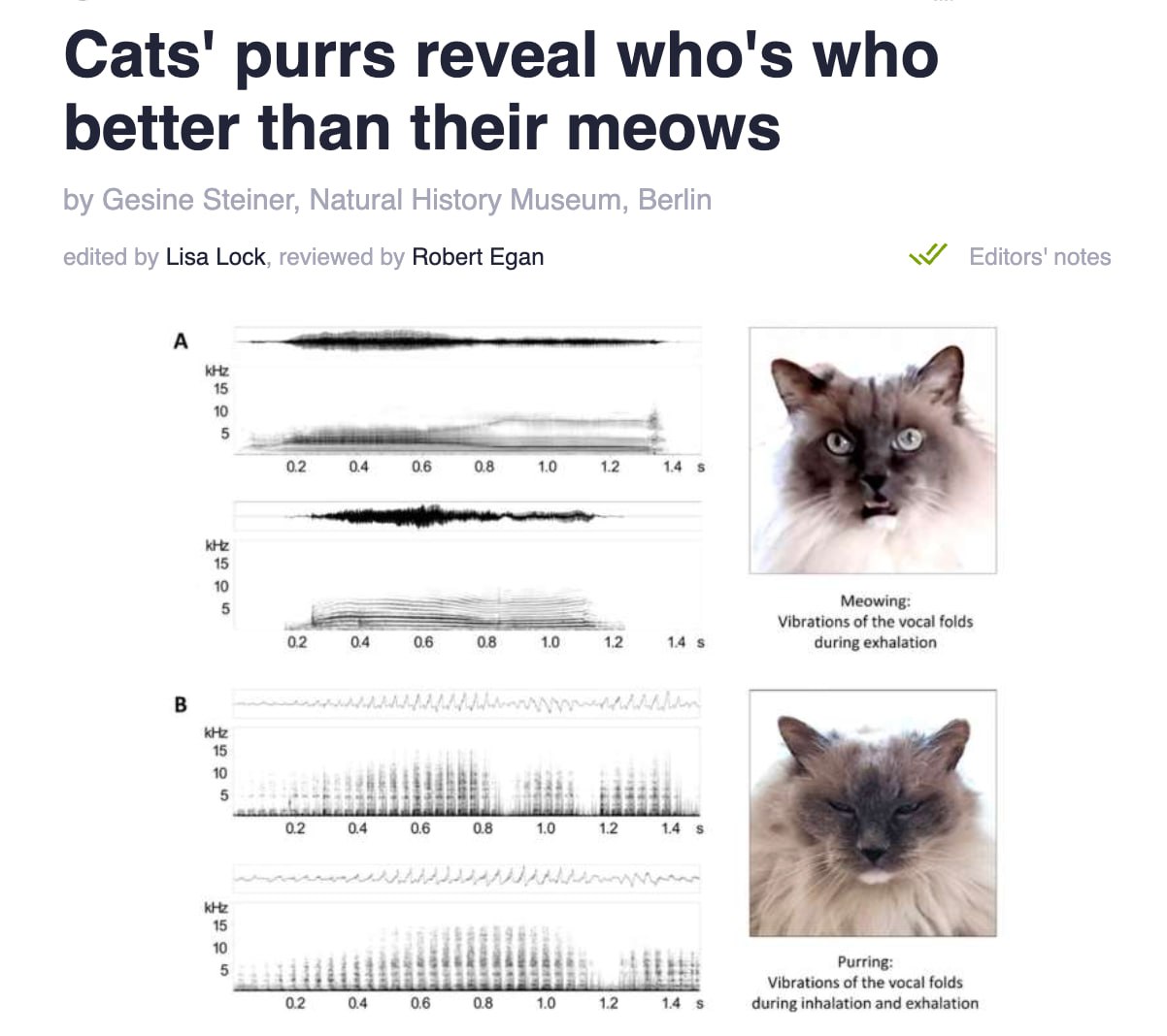 Кошек оказалось легко отличить по мурчанию у каждого питомца оно звучит уникальным образом Ученые прогнали звуки пушистых через алгоритм распознавания речи Кошачьи мяу часто отличаются в зависимости от настроения Зато мурчат они всегда в одном и том же диапазоне Исследователи считают что кошки мяукают в первую очередь для общения с людьми А по мурчанию они быстрее узнают друг друга