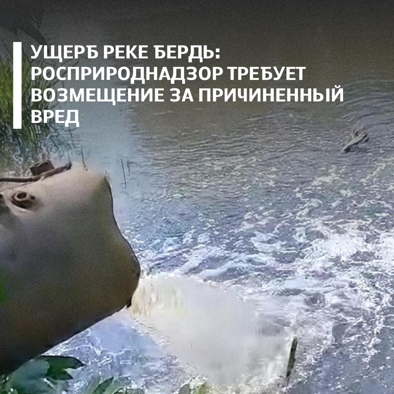 1 4 млн рублей такую сумму ущерба водному объекту взыскал суд с ООО Водоканал Маслянинского района Речь идет о вреде причиненном реке Бердь Поводом для проверки стало обращение жителя Инспекторы Сибирского межрегионального управления Росприроднадзора далее Управление обследовали участок акватории и зафиксировали выпуск сточных вод Специалисты ЦЛАТИ по СФО отобрали пробы природной воды и сточных вод из выпуска Лабораторные исследования показали превышения концентраций загрязняющих веществ Управлением исчислен вред водному объекту на сумму 1 4 млн рублей Арбитражный суд Новосибирской области поддержал требования Росприроднадзора Решение вступило в законную силу в январе 2026 года Подписывайтесь на Росприроднадзор в МАХ