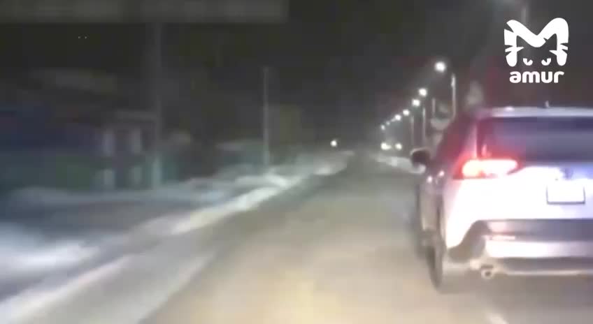 Водитель из Свободного получил 10 суток ареста за неповиновение полиции