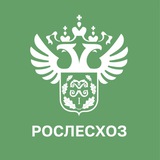 Аватар Телеграм канала: РОСЛЕСХОЗ
