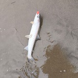 Рыбалка🐟-Охота🐇. Углегорский район🎣