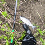 Рыбалка🐟-Охота🐇. Углегорский район🎣