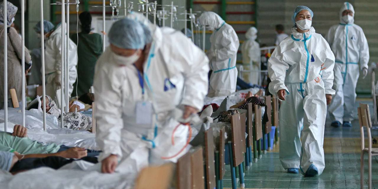 Кошки могут вызвать пандемию, сравнимую с чёрной оспой Александр Гинцбург предупредил, что вирус птичьего гриппа, массово поражающий кошек в США и Европе, может передаться человеку, вызвав пандемию, сравнимую с чёрной оспой. Для предотвращения катастрофы в России необходимо срочно разработать прототип вакцины, который позволит за 3–4 недели обеспечить страну препаратами. Сейчас такие работы в Центре Гамалеи не ведутся, госпрограмма отсутствует, отметил он.