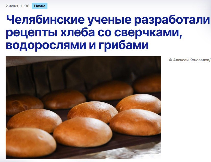 Хлебом из сверчков и водорослей предлагают питаться россиянам уральские ученые. По их мнению, хлеб будет полон полезных веществ, в том числе белка