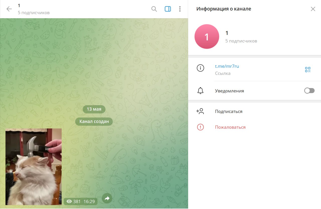 Telegram-канал издания MR7 оказался недоступен для пользователей. Вместо почти 3 тысяч подписчиков и новостей — одна странная гифка с котом Профиль петербургского издания пропал из поиска в Telegram в районе 15:40 мск. До этого там было 2676 подписчиков. Теперь при попытке открыть канал по его прямой ссылке появляется канал с названием «1», в котором на 17:20 мск — 5 подписчиков и одна гифка с котом. Что именно произошло, пока неясно, сообщила «Новой» главный редактор MR7 Елена Михина. «Блокировка, угон... Нам не приходило предупреждений от регуляторов, и по сомнительным ссылкам мы не ходим. Но вот так случилось. Пытаемся понять и вернуть», — сказала Михина. В январе Верховный суд РФ лишил MR7 статуса зарегистрированного СМИ под предлогом отсутствия маркировок об иноагентах в двух новостях. РКН счел это «злоупотреблением свободой СМИ», несмотря на то что редакция MR7 устраняла нарушения сразу после получения предупреждений. Изначально MR7 был сайтом печатной газеты «Мой район». В 2018 году бумажная версия перестала выходить, но сайт и паблики в соцсетях продолжили работу. MR7 рассказывает о событиях общественно-политической жизни Петербурга, с 2022 года издание активно освещает дела о «фейках» про армию.