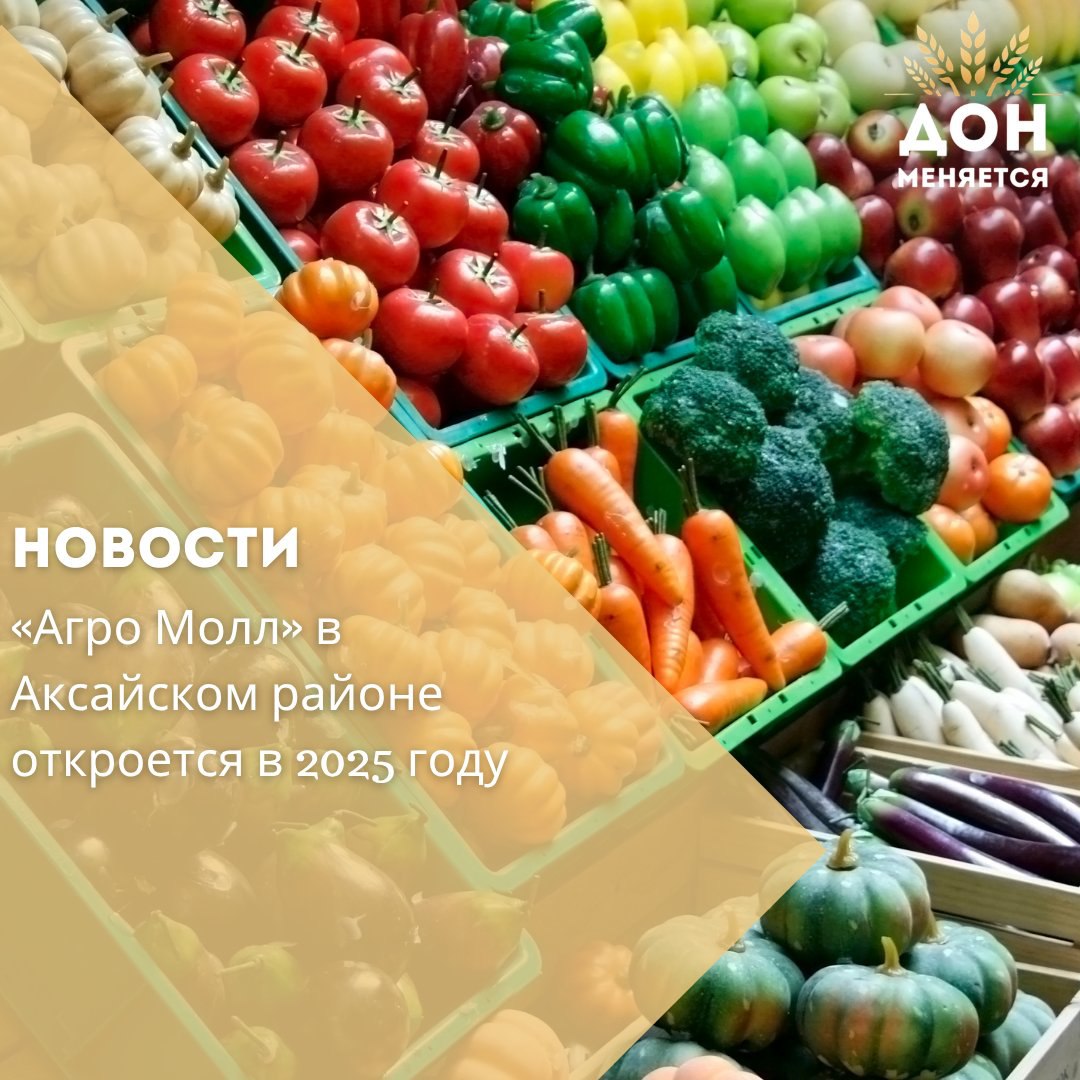 В Аксайском районе Ростовской области в 2025 году планируют завершить строительство распределительного центра «Агро Молл». Объём инвестиций в проект составляет около 2,5 млрд рублей. Продукты питания будут поступать из центральных и южных регионов России, а также из стран Ближнего Востока и Средней Азии. Торговля будет вестись как на территории Ростовской области, так и в соседних регионах, включая ДНР, ЛНР и Запорожскую область.