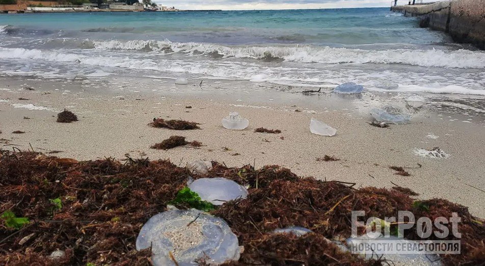 В Чёрном море исчезает важный слой воды  По данным исследований, в последние годы фиксируется подъем бескислородных вод Чёрного моря. Это приводит к уменьшению слоя обитания рыб и планктона на глубоководных участках.  «Наши расчёты показывают, что в ближайшие 25 лет нижняя граница кислородной зоны в центральных районах моря поднимется ещё на 10 м вверх», — рассказал севастопольский ученый-биолог Виктор Мельников.  Все это грозит необратимыми изменениями в экосистеме моря.  Оперативный Севастополь