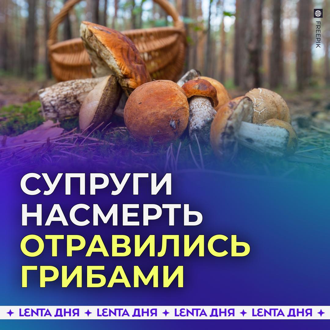 Семья насмерть отравилась грибами В Тверской области супруги почувствовали себя плохо после съеденных грибов Их экстренно госпитализировали но врачи помочь не смогли муж скончался по дороге а жена по прибытии в больницу Экспертиза показала что супруги отравились ядовитым веществом У пары остались маленькая дочь и совершеннолетний сын Подпишись на Ленту дня MAX ТГ Участвуй в розыгрыше