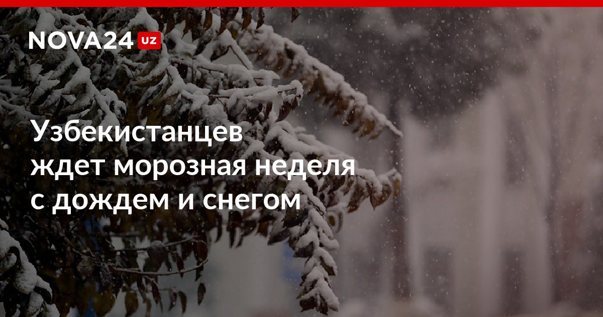 Узбекистанцев ждет морозная неделя с дождем и снегом Местами возможен туман nova24 uz 319307 NOVA24 LIVE