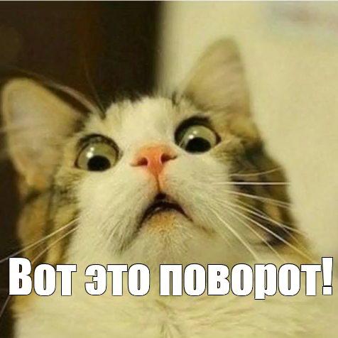 Магнитогорский олигарх «уничтожит» альбом Гуфа «Город Дорог» Бизнесмен Игорь Рыбаков заявил, что избавит молодое поколения россиян от альбома популярного репера, чтобы не романтизировать вредные привычки. Сам Рыбаков заслушивался этой пластинкой в конце 2000-х, когда «много гулял и пил» и чуть не лишился семьи. «Сегодня мне хочется, чтобы молодое поколение не повторяло моих ошибок. Я удалю “Город Дорог” со всех площадок — это мой подарок русскодумающим людям», — Игорь Рыбаков. Сумма сделки по покупке прав — 95 млн рублей. Дебютный альбом Гуфа продаёт Антон Пронин, глава «Монолит Рекордс». Доходность актива он оценил в 15–16%.