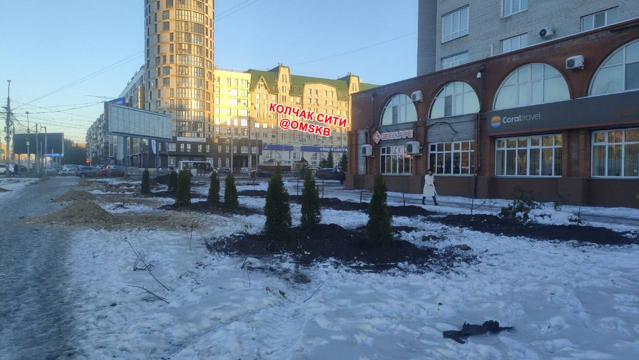 Еще одна аллея в Омске вырубили деревья вдоль улицы Масленникова Сколько дней прошло в Омске без новостей о вырубках Ответ ни одного Очередной жертвой работников пилы и топора стали деревья на улице Масленникова у перекрестка с Жукова В соцсетях пишут что вместо аллеи зеленой и красивой в соответствующие времена года уже воткнули туи и какие то маленькие саженцы Благоустройство это спасение горожан от аварийных деревьев или озеленение в современном духе мы пока не знаем так как в администрации случившееся не комментировали Но кажется кто то делает выводы из недавней истории про яблоневую аллею на Гагарина теперь взрослые деревья заменили на туи сходу без пауз Вывод уровня Деревья рубить не надо это как минимум нерационально явно не сделан А ведь Омску нужен именно он Фото тг канал Колчак Сити Написать в редакцию можно здесь gorod55ru