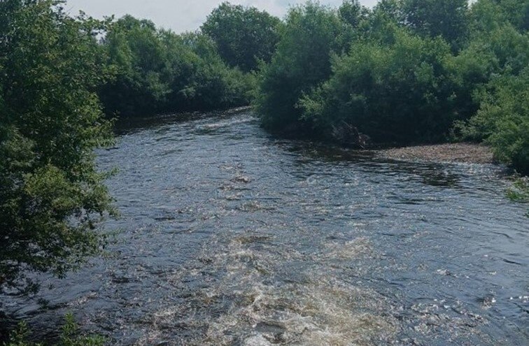 Расчистят для защиты жителей русло реки Кимкан в Облученском районе ЕАО В 2026 году в поселке Известковый планируют провести масштабные работы на местном водном объекте Специалисты займутся расчисткой русла реки Кимкан чтобы избавить людей от угрозы сезонных подтоплений Общая протяженность участка который освободят от донных отложений и мусора составит 400 метров Проект реализуется департаментом природных ресурсов области для повышения безопасности жилых территорий находящихся в зоне возможного разлива Подробнее читайте по ссылке   riabir ru 477214