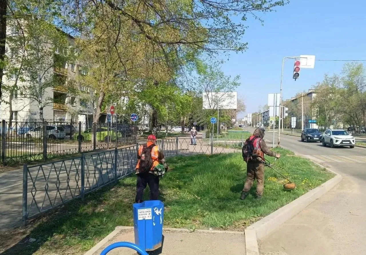 В Биробиджане коммунальные службы проводят покос травы В рамках ручной уборки двое сотрудников собирают мусор на остановках общественного транспорта Еще двое наводят порядок на городских площадях Пять человек занимаются сбором случайного мусора по всему городу На улице Пушкина развернуты сразу две задачи четверо рабочих косят траву а двое собирают скошенную растительность и мелкий мусор В рамках механизированной уборки два пылесоса большой и малый продолжают очистку прибордюрных зон от песка скопившегося после зимы Техника работает на проспекте 60 летия СССР Пионерской 40 лет Победы Димитрова Набережной и Шолом Алейхема на участке от ДСМ Это позволяет тщательно вычистить обочины и подготовить дороги к летнему сезону биробиджан мэриябиробиджана КоммунальныеСлужбы УборкаГорода