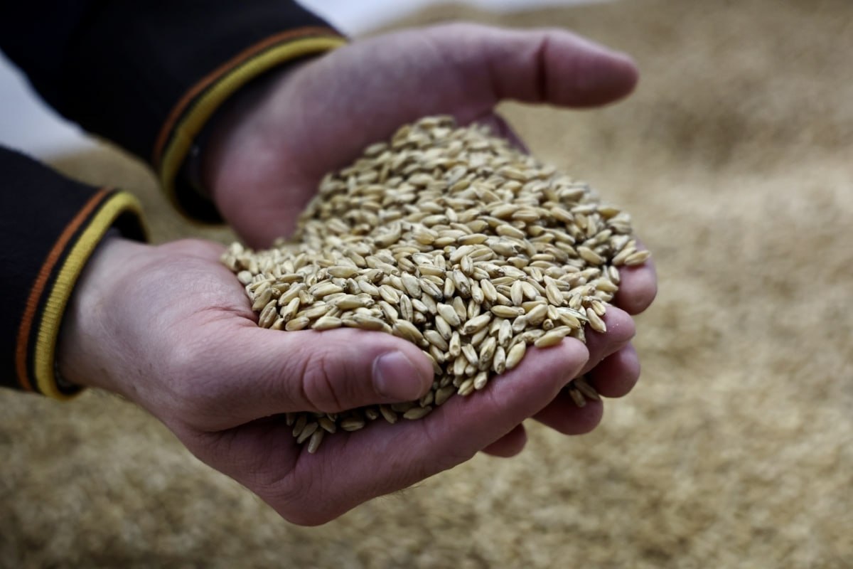 Президент Владимир Путин наградил медалью фермера из Челябинской области   gubernia74 ru articles society 1138413 Указом президента медаль За труды по сельскому хозяйству присвоена руководителю крестьянско фермерского хозяйства в Аргаяшском округе Марату Камалову Награда стала признанием его многолетней добросовестной работы и значительного вклада в развитие отрасли сельского хозяйства   t me chgub