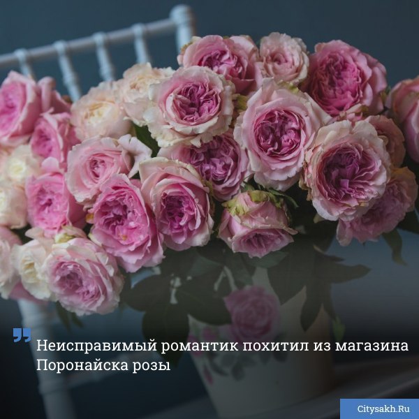 Дело о краже из цветочного магазина расследуют поронайские полицейские citysakh ru news 123346