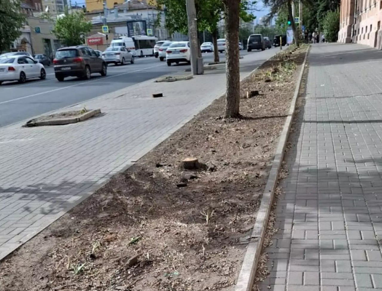 В Ростове на Буденновском рядом с бывшим ликеро-водочным заводом уничтожена аллея деревьев В Ростове-на-Дону, на проспекте Буденновском, рядом с бывшим ликеро-водочным заводом, была уничтожена аллея деревьев. Об этом сообщили местные жители. Вместо зелёных насаждений теперь можно увидеть только пни. Ранее здесь росли деревья, но из-за засухи и отсутствия ухода они погибли. Это представляло опасность для прохожих, поэтому их убрали. Как отметил общественник Александр Сушков, было написано коллективное письмо в четыре организации. Включая прокуратуру. Отметим, что, вероятно, вырубка может быть связана не только с безопасностью, но и со строительством торгового центра на месте объекта культурного наследия. Ранее сообщалось, что новый собственник исторической ценности планирует построить на территории завода очередной торговый центр. Подписаться на "Новости Ростова" Прислать новость
