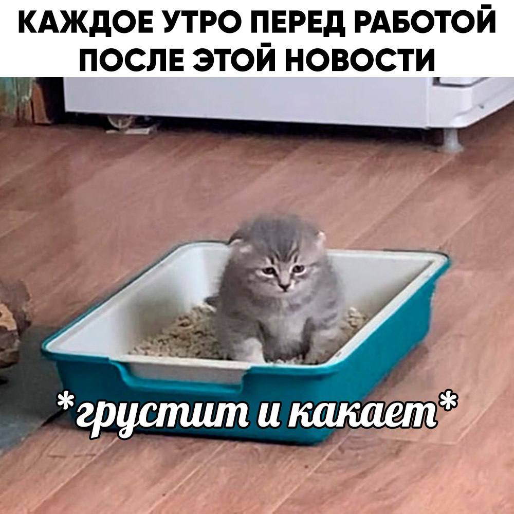 Риск появления геморроя повышается на 46%, если часто засиживать с телефоном в туалете — исследование Рекомендуется не находиться в уборной дольше 10 минут, а лучше — не более трёх.