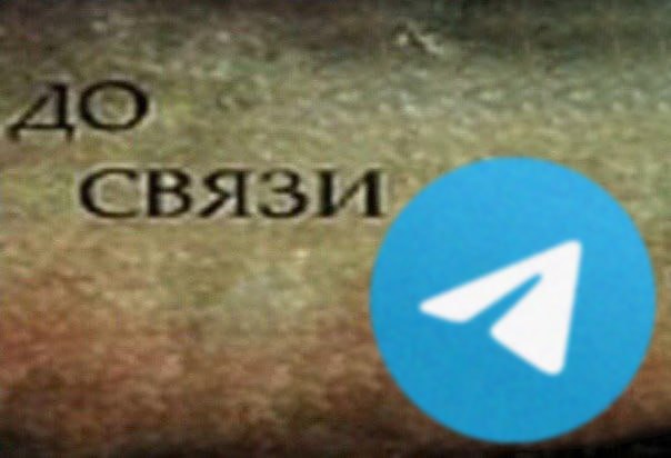 Telegram в России все таки начали ограничивать информацию подтвердили в Совфеде Говорят все из за того что мессенджер не выполняет требования российских законов А что ещё случилось