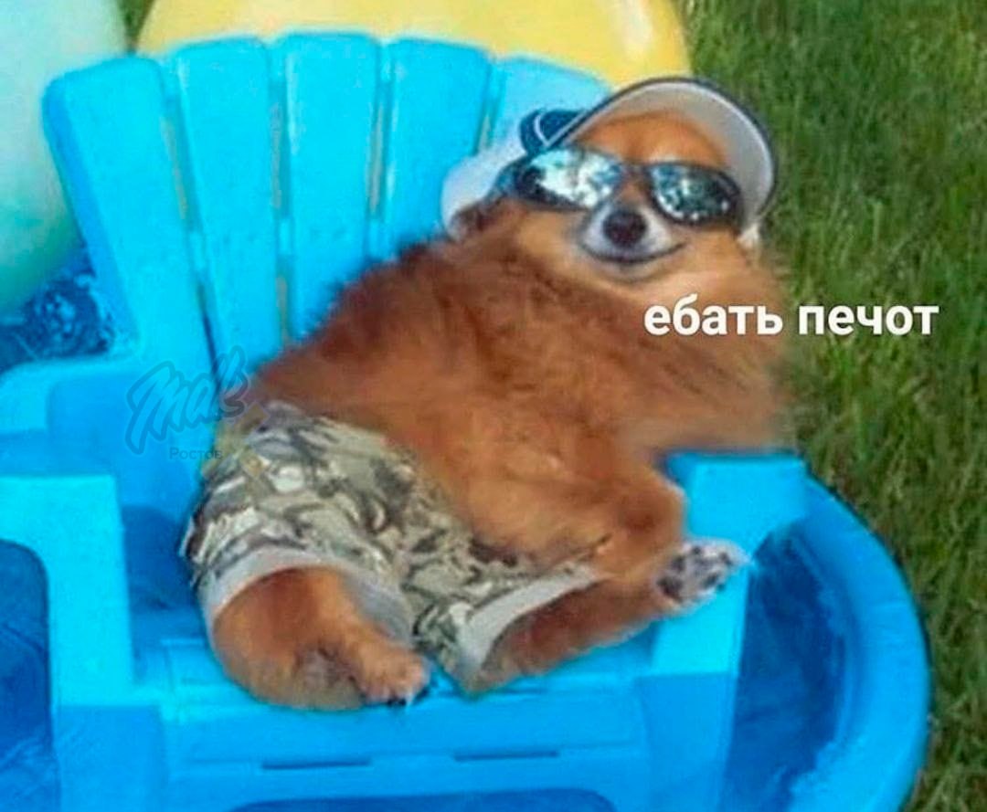 Если думаете, что у вас дома реально жарко, то это не так. Некоторые ростовчане жалуются, что в их квартирах включили отопление Уже известно, что трубы стали горячими в трёх домах: на Доломановском, 2-й Краснодарской и Ворошиловском. В управляющей компании пояснили, что идет промывка отопления. Да вот только промывают её кипятком. Режим выживания включен MDK Ростов