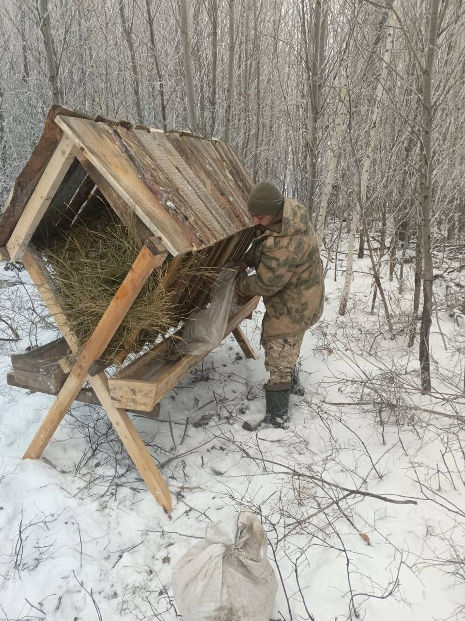 В Оренбургской области организована зимняя подкормка лесных животных  Подкормка животных организована практически на всей территории общедоступных охотничьих угодий Оренбургской области в неблагоприятный для них период года – зимой, около 120 дней. Ее проводит ГБУ «Оренбургохотводбиоресурс», подведомственное министерству природных ресурсов региона. Для этого закуплено порядка 200 тонн ячменя и трёх тонн минеральной подкормки  соли .   Подкормка проводится для того, чтобы звери перенесли сложности холодного времени года и не страдали от истощения. Это позволяет исключить задержку развития молодняка, минимизировать риск возникновения и распространения болезней животных и сократить уровень их миграции.  В минеральной подкормке больше всего нуждаются косули и лоси. В дикой природе они питаются ветками, ягодой, травой и грибами. Но из-за отсутствия в рационе комплекса необходимых микроэлементов зверей рекомендуется подкармливать солью, богатой натрием и кальцием.  Выкладка кормов осуществляется на специальные площадки, в кормушки и на точки минеральной подкормки – солонцы.  Подкормка продлится до наступления весны.