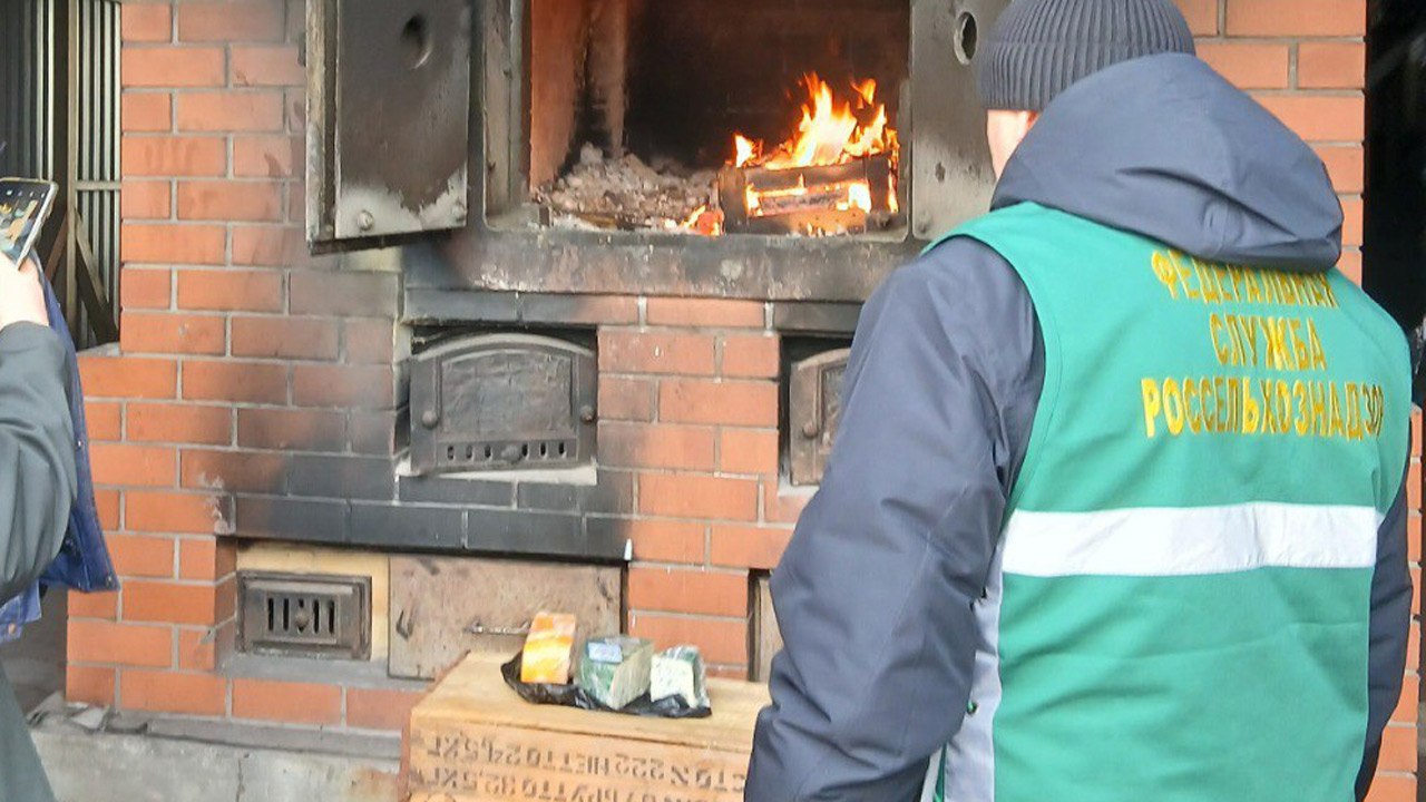 В Челябинской области в печи сожгли две партии санкционного сыра Запрещенные продукты из Германии и Голландии продавали в торговом комплексе в Тракторозаводском районе Челябинска Их изъяли и уничтожили в присутствии сотрудников Россельхознадзора таможни и транспортной прокуратуры Согласно требованиям законодательства продукция имеющая санкционный характер уничтожается Кроме того ветеринарно сопроводительных документов подтверждающих качество и безопасность данной поднадзорной продукции индивидуальный предприниматель не предоставил сообщили в Уральском межрегиональном управлении Россельхознадзора Сыр входит в список продуктов которые запрещено ввозить из США стран Евросоюза Канады Австралии Норвегии и ряда других государств Фото 74 fsvps gov ru Подписывайтесь на Вести Южный Урал в MAХ