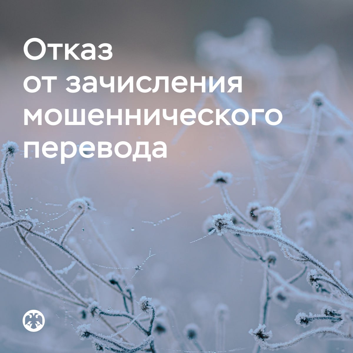 Банк России определил процедуру отказа от зачисления средств полученных при мошенническом переводе Граждане чьи реквизиты находятся в базе данных Банка России смогут оформить отказ от зачисления на свой счет денег поступивших в результате мошеннической операции и вернуть их пострадавшему Алгоритм действий кредитных организаций в таких случаях содержится в рекомендациях которые мы направили банкам Банкам рекомендовано обеспечить прием заявлений клиентов физлиц об отказе от зачисления средств например в отделениях по телефону горячей линии или через онлайн банк 1   Чтобы вернуть средства пострадавшему человеку нужно направить заявление в свой банк и указать номер запроса по операции без добровольного согласия клиента REQ Этот идентификатор мошеннического перевода Банк России предоставляет по результатам рассмотрения обращения об исключении реквизитов из базы данных Банк получивший заявление возвращает сумму мошеннической операции банку плательщика Банк плательщика в свою очередь зачисляет средства на счет пострадавшего клиента и направляет соответствующую информацию в Банк России На основании полученных данных Банк России принимает решение об исключении информации о гражданине из базы данных о мошеннических операциях Мы будем мониторить исполнение банками этих рекомендаций