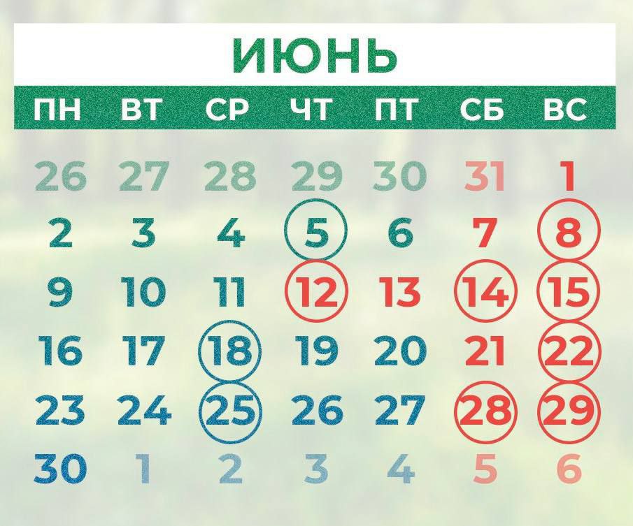 Четырехдневные выходные ожидают россиян на следующей неделе. Мини-каникулы продлятся с 12 по 15 июня включительно. 11 число — короткий день