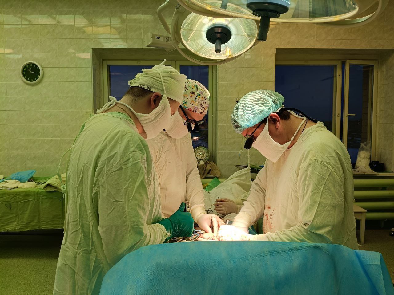 Архангельские трансплантологи в очередной раз продемонстрировали свой высокий профессионализм специалисты Первой городской больницы имени Е Е Волосевич спасли жизни трех пациентов успешно выполнив пересадки почек и печени Операции по трансплантации провели совместно с экспертами из Москвы Такие вмешательства никогда нельзя запланировать заранее поэтому они требуют от врачей особенного подхода нужно оперативно вызвать пациента подготовить команду и операционную сдвинуть плановые операции и провести саму трансплантацию Одна из тех кто получил шанс на полноценную жизнь 66 летняя жительница Новодвинска 14 лет она была на программном гемодиализе и стала первой возрастной пациенткой которой выполнили пересадку почки Сейчас женщина чувствует себя хорошо ее и двух других пациентов выписали домой они находятся под контролем специалистов по месту жительства За весь период проведения трансплантационной программы наши специалисты провели 36 операций по пересадке почки и 5 по пересадке печени Благодарю врачей медицинских сестер и всех специалистов которые ежедневно берут на себя огромную ответственность и делают все возможное чтобы дарить людям вторую жизнь