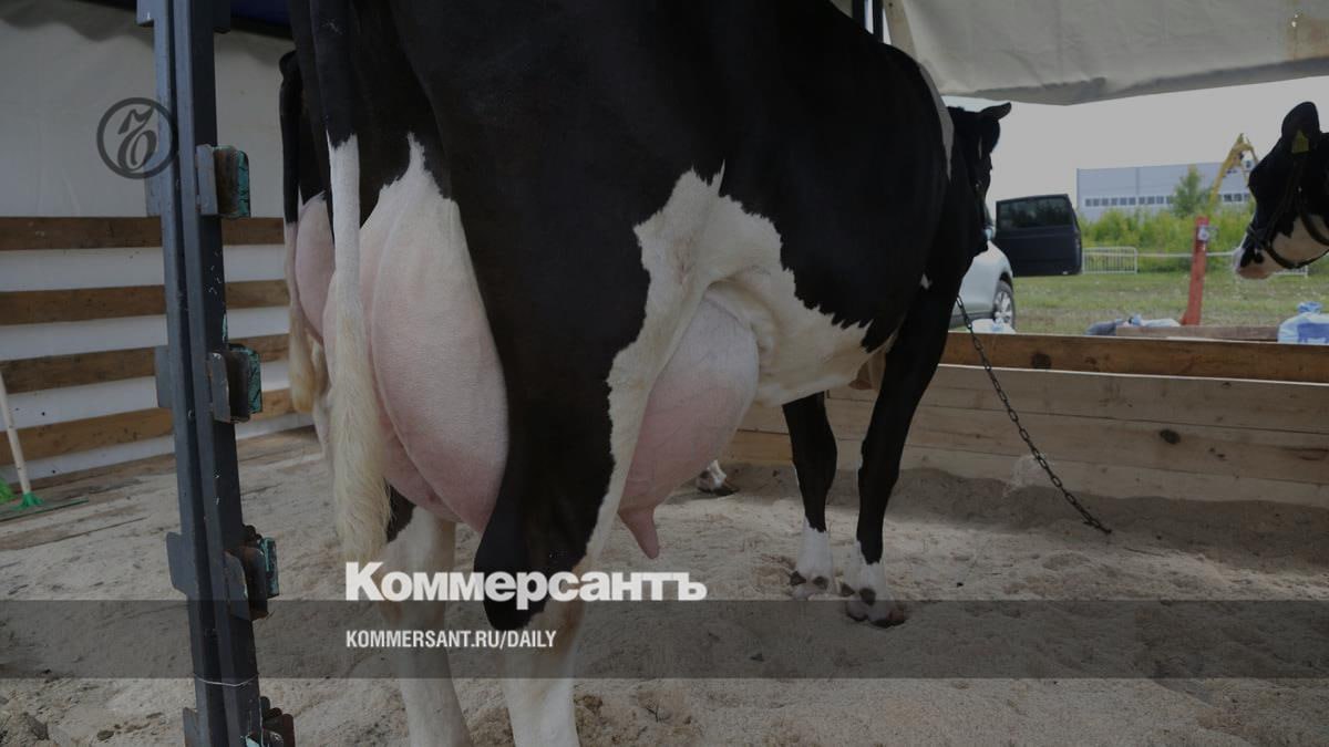 Пермский край: громкие обещания и реальное падение агросектора  Губернатор Дмитрий Махонин обещает к 2030 году увеличить производство сырого молока на 200 тыс. тонн, подыгрывая сельхозэлектрату накануне выборов. Но за радужными прогнозами скрывается катастрофическая реальность: с 2021 по 2025 год поголовье дойных коров в Прикамье упало на 9,2%. Молочное и мясное скотоводство в России находится в глубоком кризисе — количество дойных коров упало с 20,6 млн в 1990-х до 7,8 млн в 2021 году. Реальные показатели производства и потребления молока и мяса в регионе даже не дотягивают до норм Минздрава. По овощам, фруктам и даже картофелю наблюдается массовое недоедание.  Обещанная «поддержка» агропредприятий выглядит как фикция: дополнительные 4 рубля за литр молока при росте производства на 7% — это «предложения», которые легко могут остаться на бумаге. Между тем с 2020 года продукты в Пермском крае подорожали в разы — официальная статистика фиксирует рост цен на питание от 4,8% в 2025 году до 11,6% в 2023-м, а минимальный набор продуктов стоит в регионе дороже, чем в других регионах ПФО.  В итоге чиновники играют с цифрами и амбициями на перспективу, забывая о реальных проблемах сегодняшнего дня — сокращении скота, падении потребления и обнищании населения. Время «к 2030 году» прошло — пора отчитываться за результаты и решать реальные задачи, а не расписывать призрачные планы и грезить о поддержке, которая так и не приходит.  Источник: BAZA 2.0