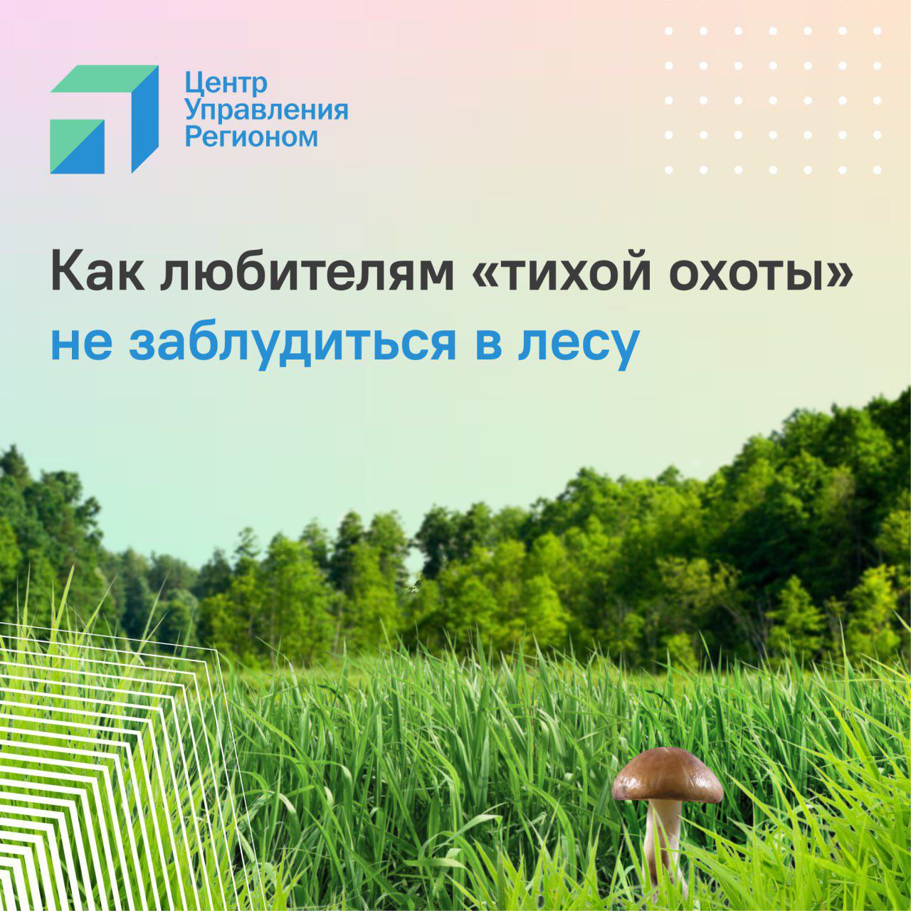 Двух грибников спасли в Пензенской области. 67-летний мужчина потерялся в лесу возле СНТ «Родничок» в селе Камайка, а 61-летняя женщина — неподалёку от посёлка Березовая роща. К счастью, грибники не пострадали. Чтобы избежать таких приключений ну или подготовиться к ним , советуем ознакомиться с рекомендациями МЧС и ЦУР Подписаться Прислать новость
