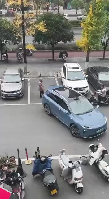 Китайский автопилот решает проблемы парковки в конфликтной ситуации